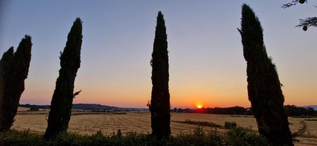 Agriturismo Il Canneto Casole d'Elsa Exterior photo